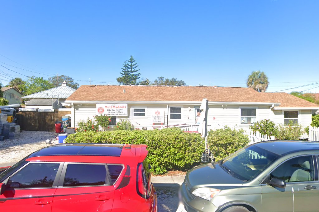 Pet Shelters in Palm Harbor, FL Find Paw Pal