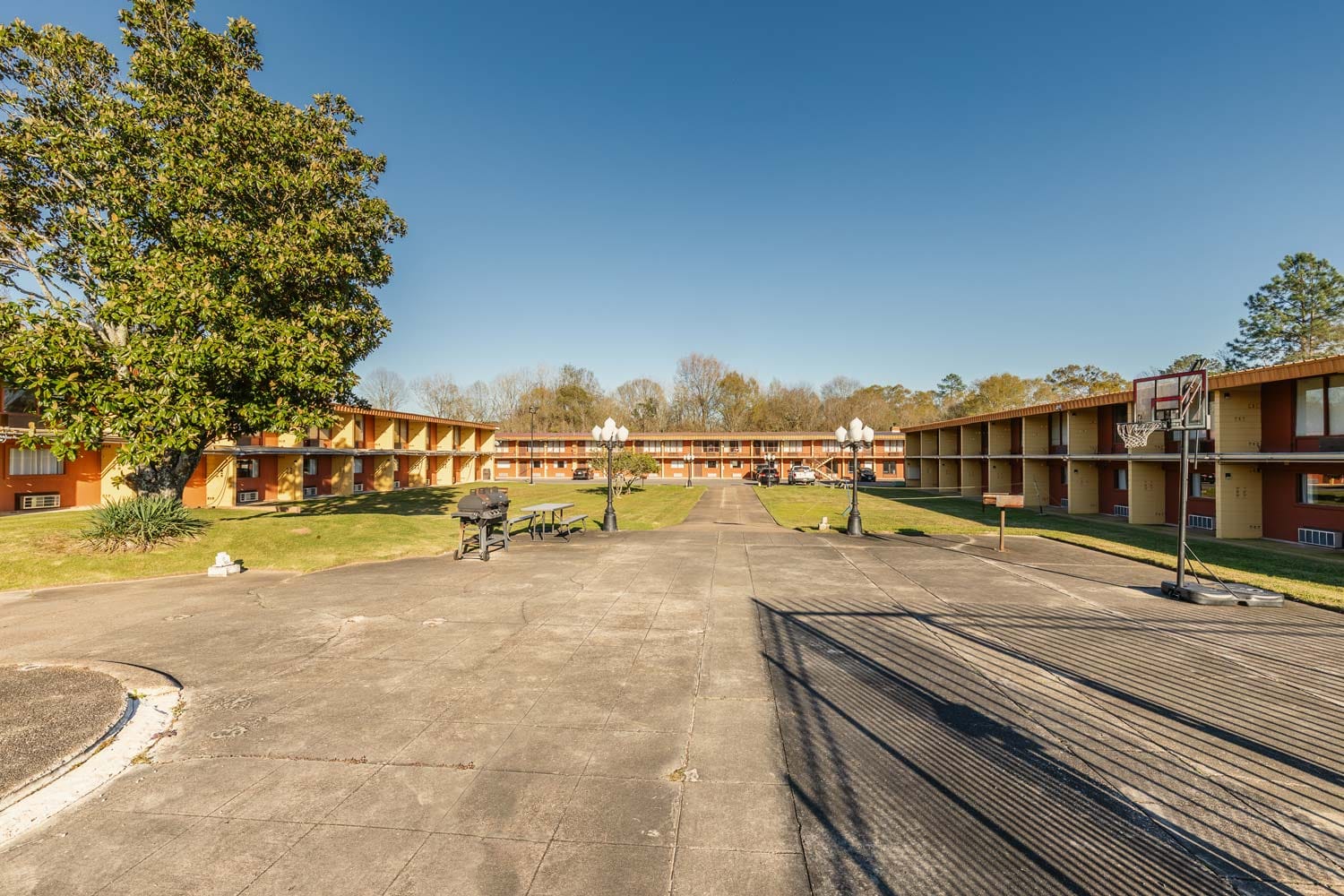 Animal Shelter in Baton Rouge, LA The County Office