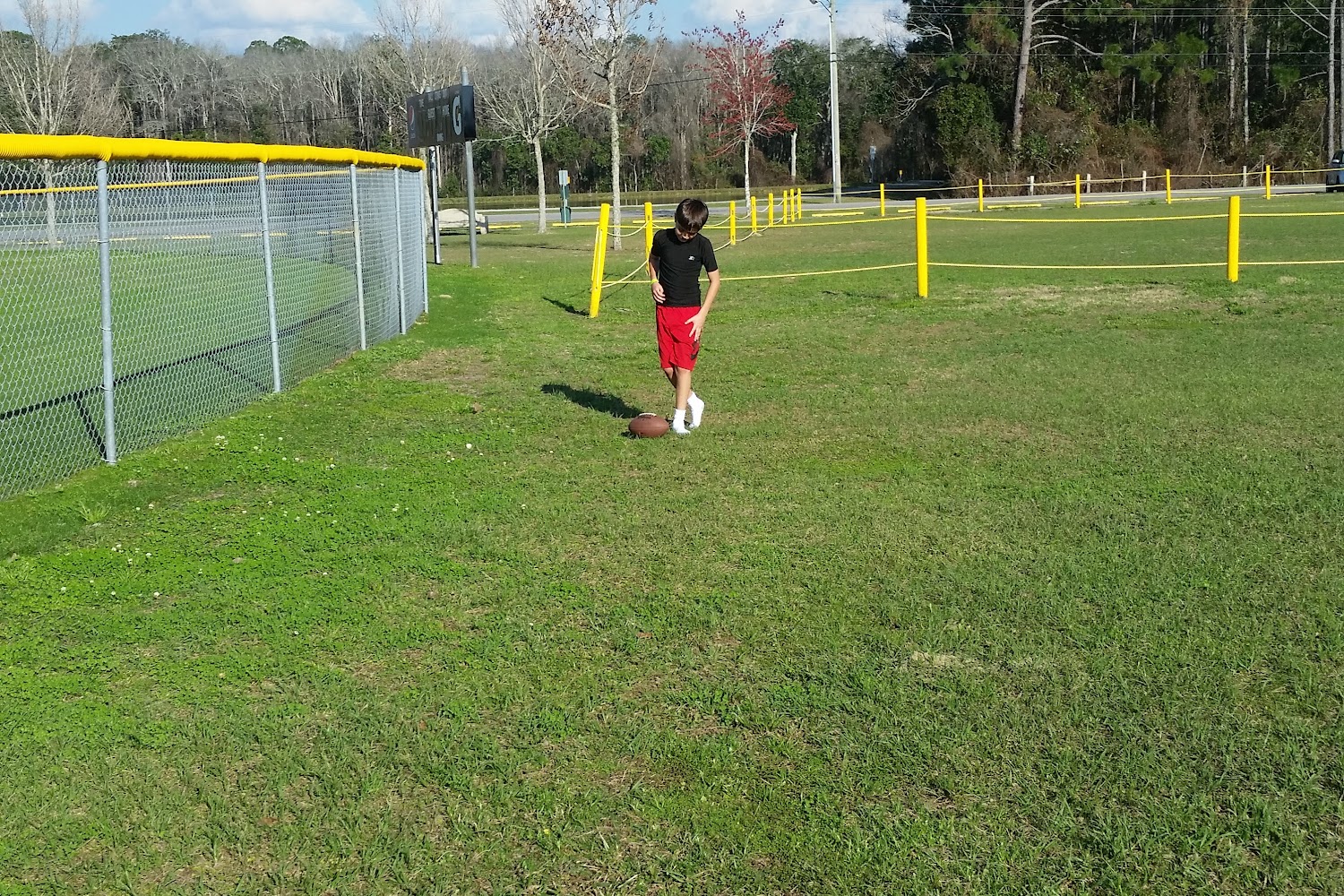 Lynn Haven Animal Control in Lynn Haven, FL Find Paw Pal