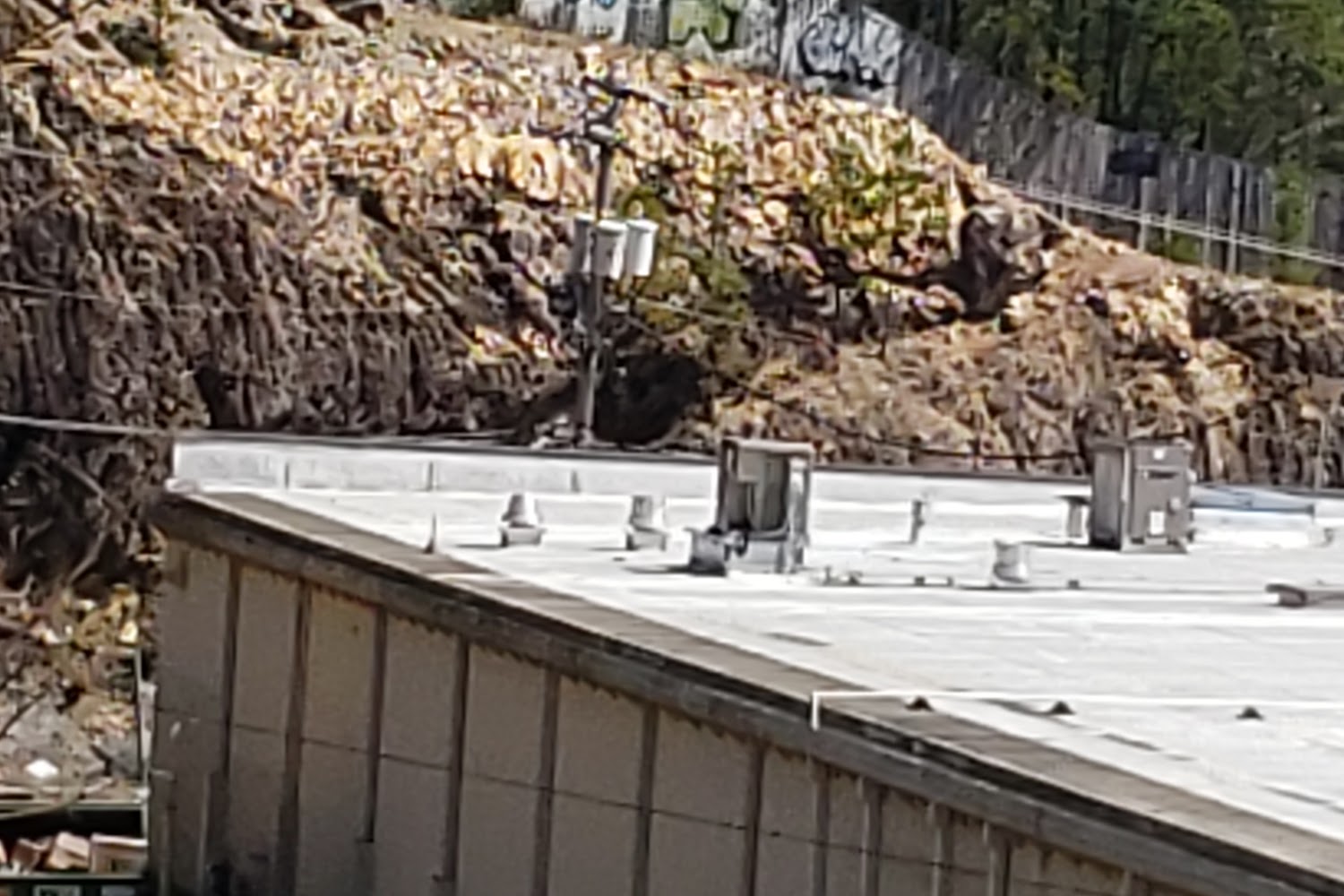 DMV in Little Rock, AR The County Office