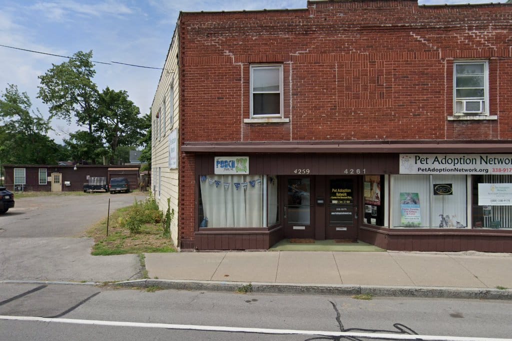 Animal Shelter in Rochester, NY The County Office