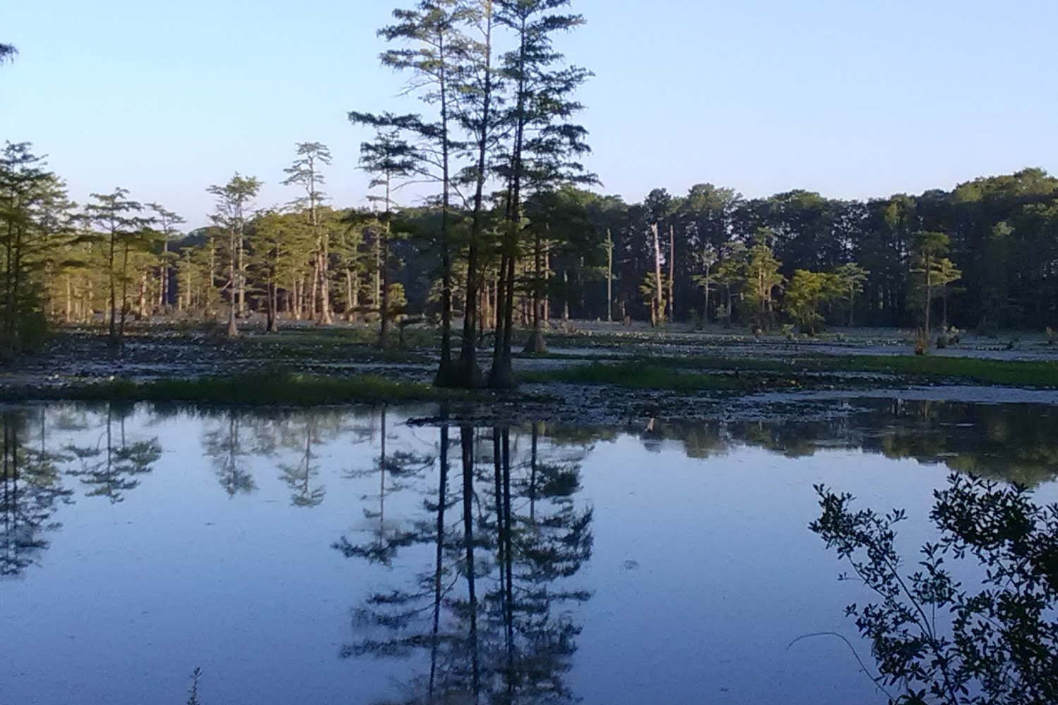 Housing Authority in Robeson County, NC The County Office