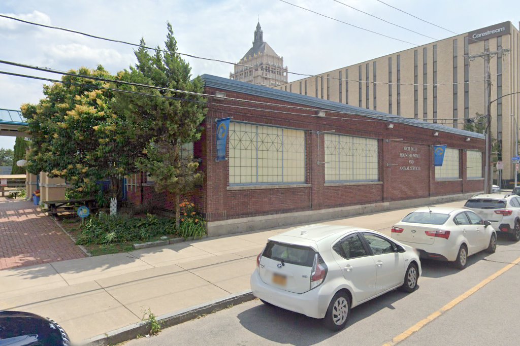 Animal Shelter in Rochester, NY The County Office