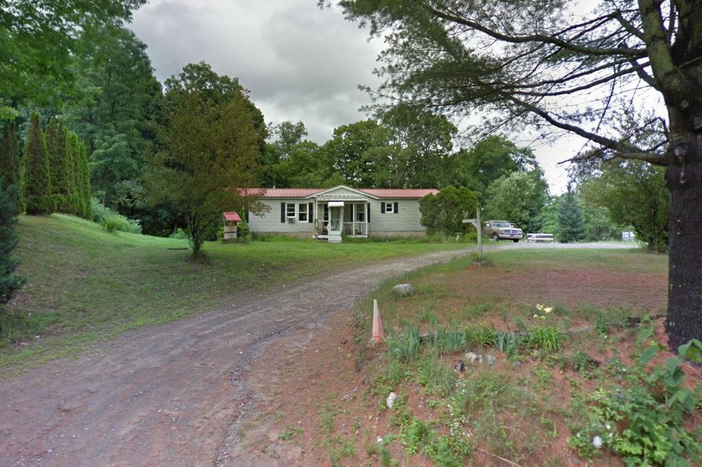 Animal Adoption in Porter Corners, NY Find Paw Pal