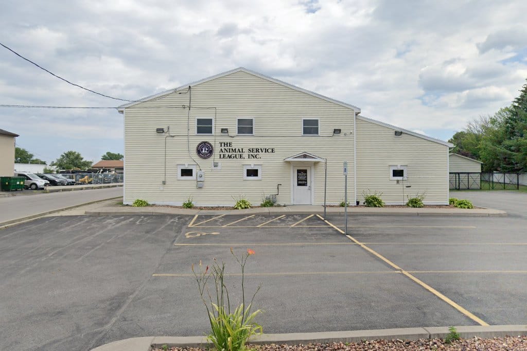 Animal Shelter in Rochester, NY The County Office