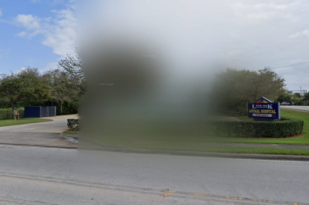 Tri County Animal Hospital in Fort Pierce, FL The County Office