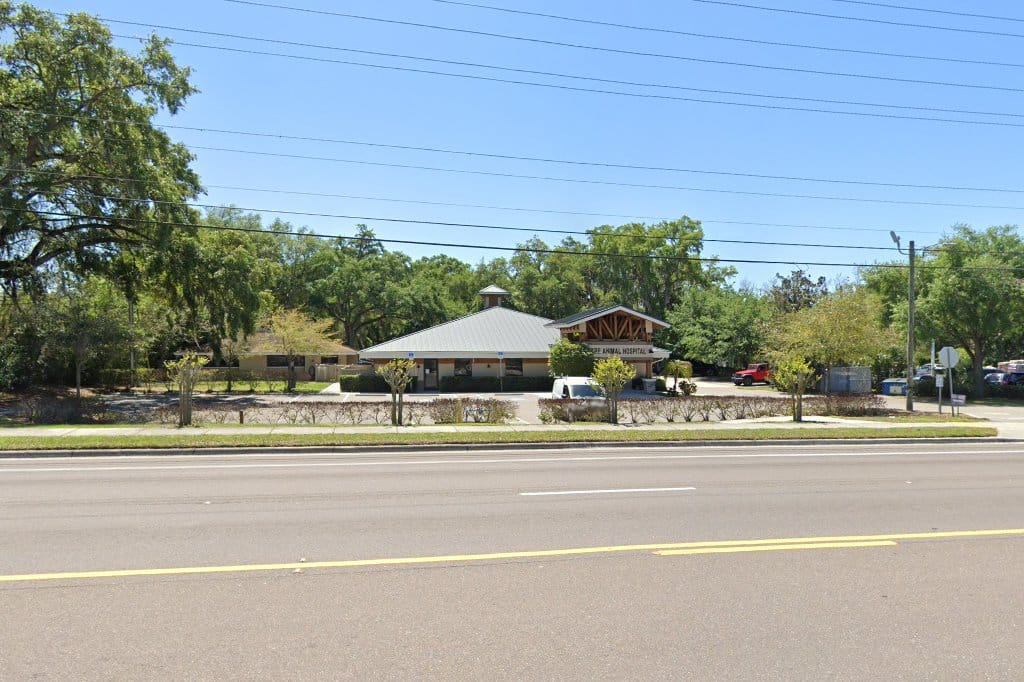 Animal Hospital in Brandon, FL The County Office