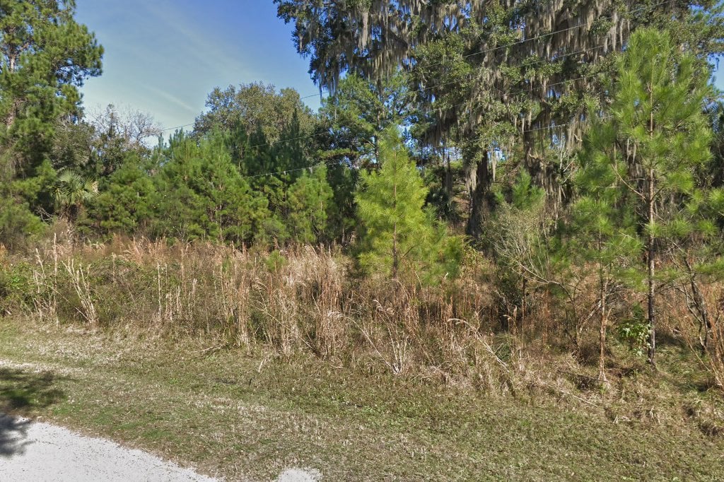 Animal Shelter in Brooksville, FL The County Office