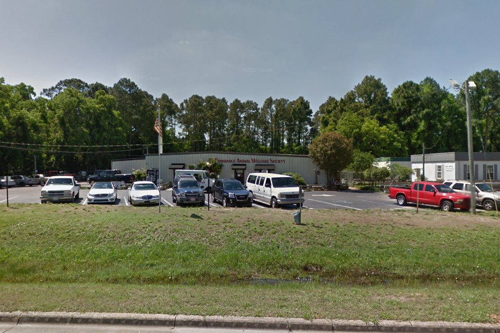 Animal Shelter in Okaloosa County, FL The County Office