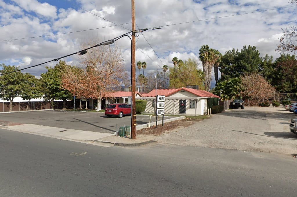 Animal Hospital in Hemet, CA The County Office
