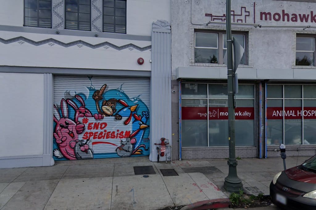 Animal Hospital in Los Angeles, CA The County Office