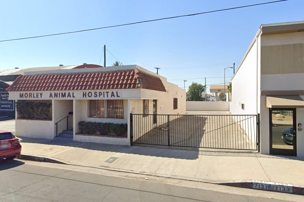 Animal Hospital in Los Angeles, CA The County Office