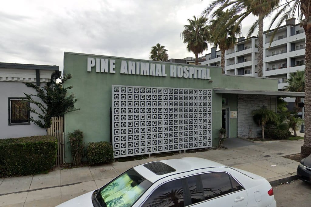 Animal Hospital in Long Beach, CA The County Office