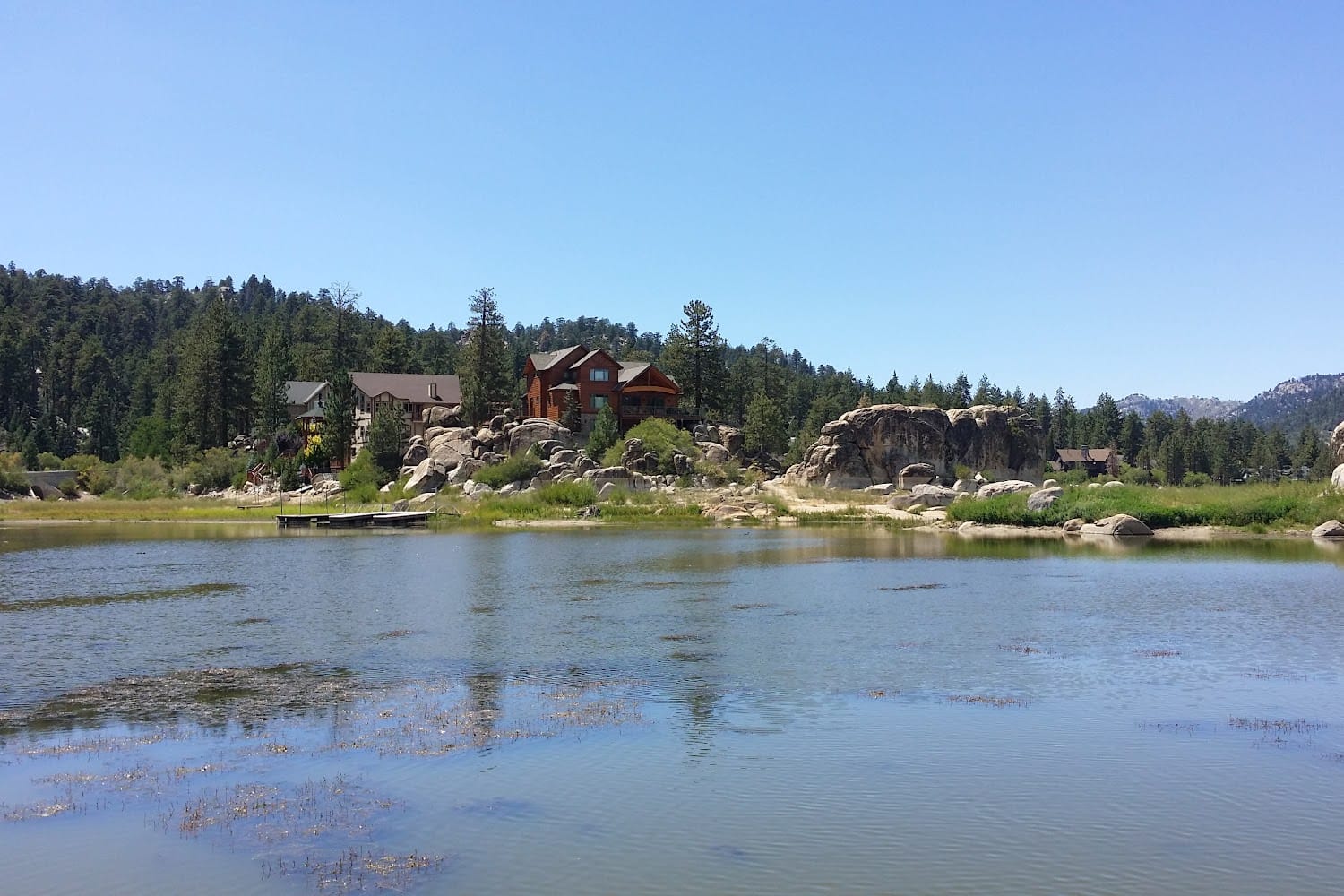 Big Bear Animal Shelter in Big Bear City, CA The County Office