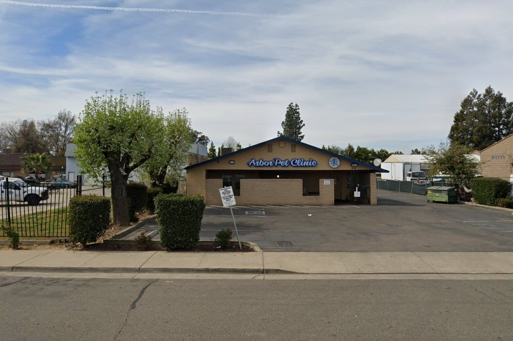 Animal Hospitals in Lodi, CA Pets TheCountyOffice