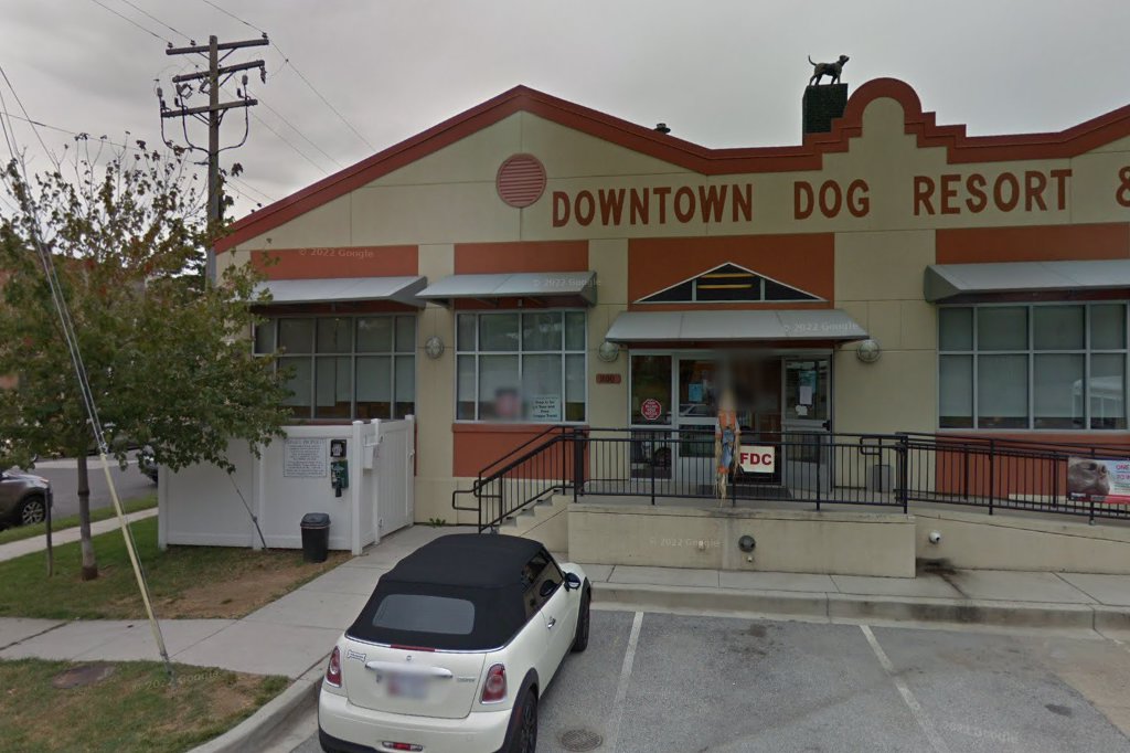 Animal Hospital in Baltimore, MD The County Office