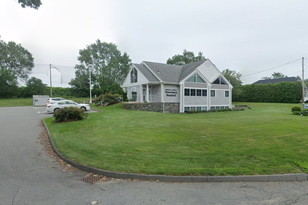 Animal Hospital in Bristol County, MA The County Office