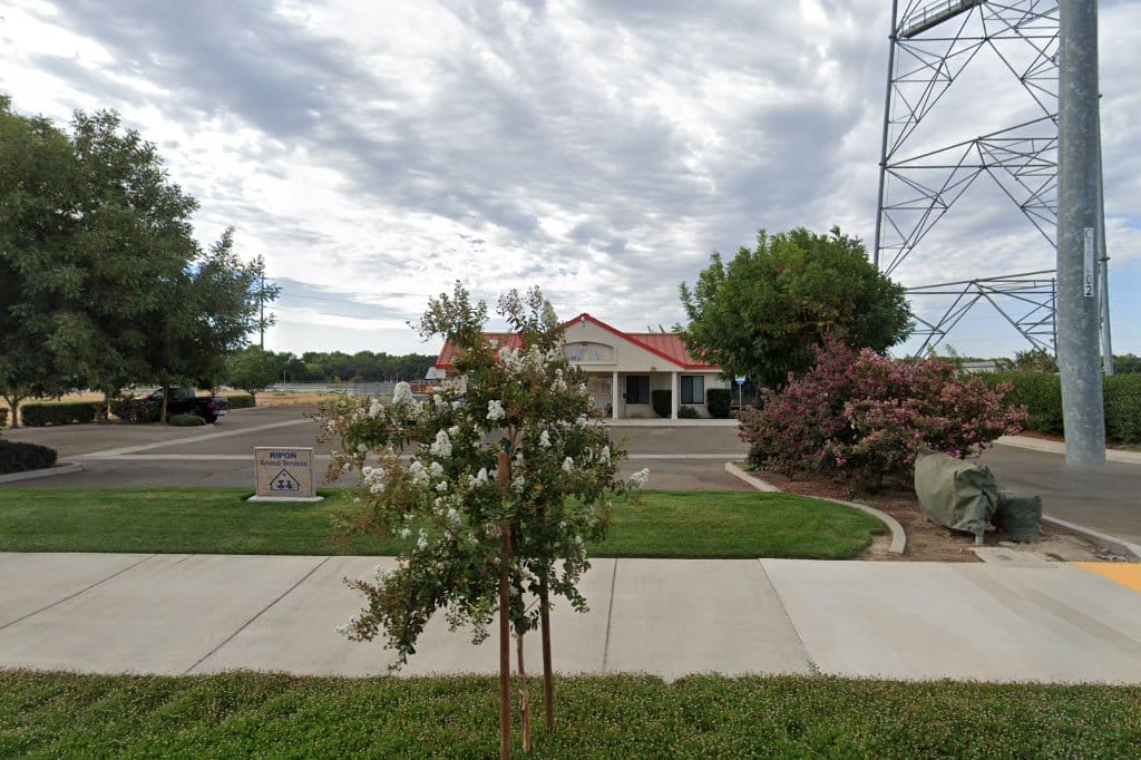 Modesto Animal Control in Modesto, CA Find Paw Pal