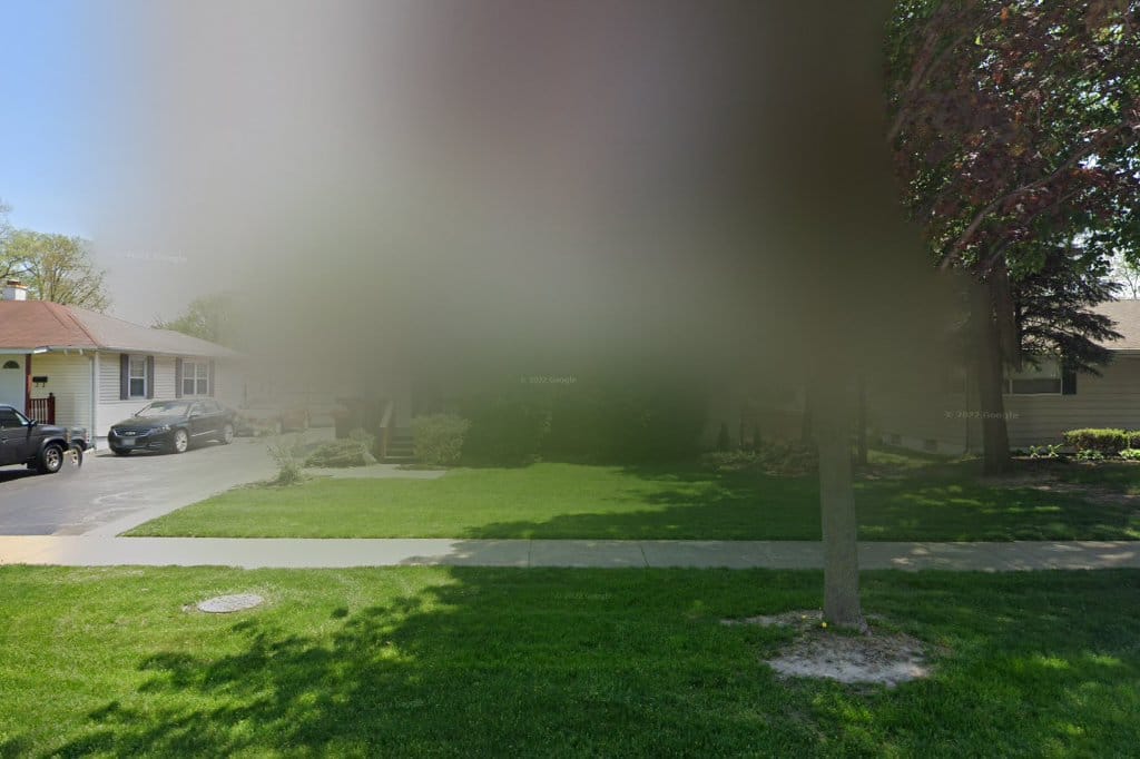 Chicagoland Dog Rescue in Elk Grove, IL Find Paw Pal