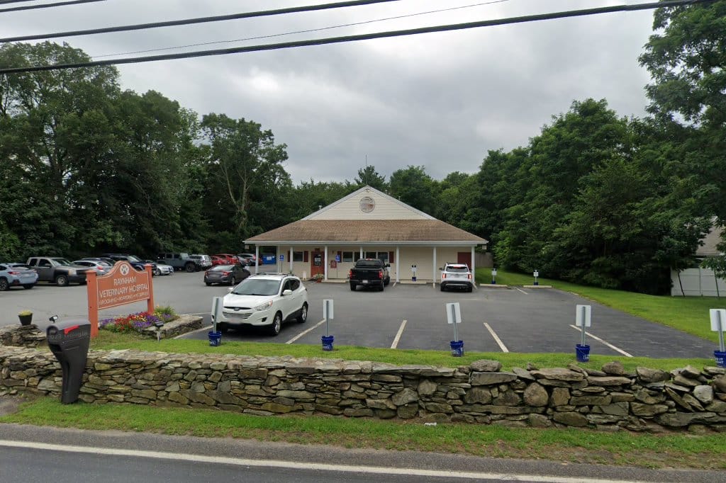 Wessels Animal Hospital in Taunton, MA Pets TheCountyOffice