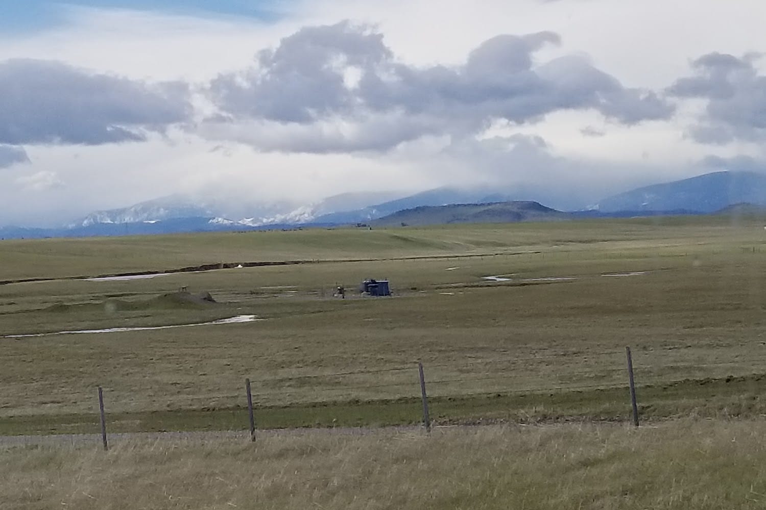 Corning City Animal Control in Corning, CA Find Paw Pal