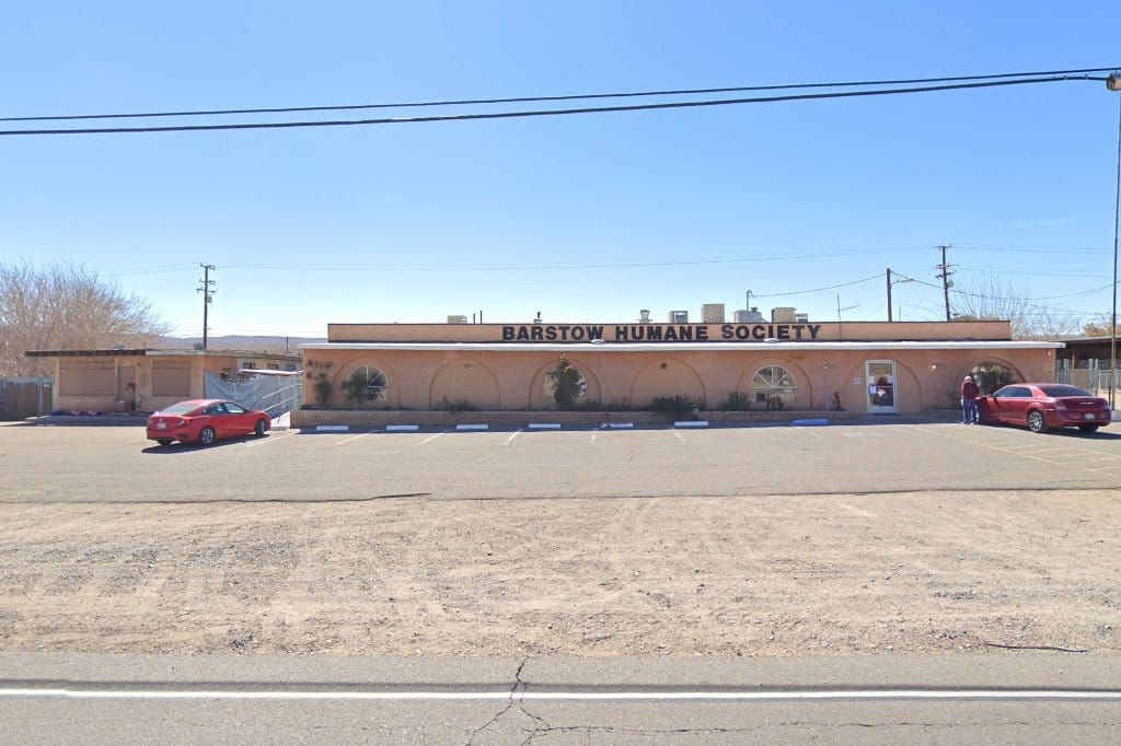 Dog Shelters in Barstow, CA Find Paw Pal