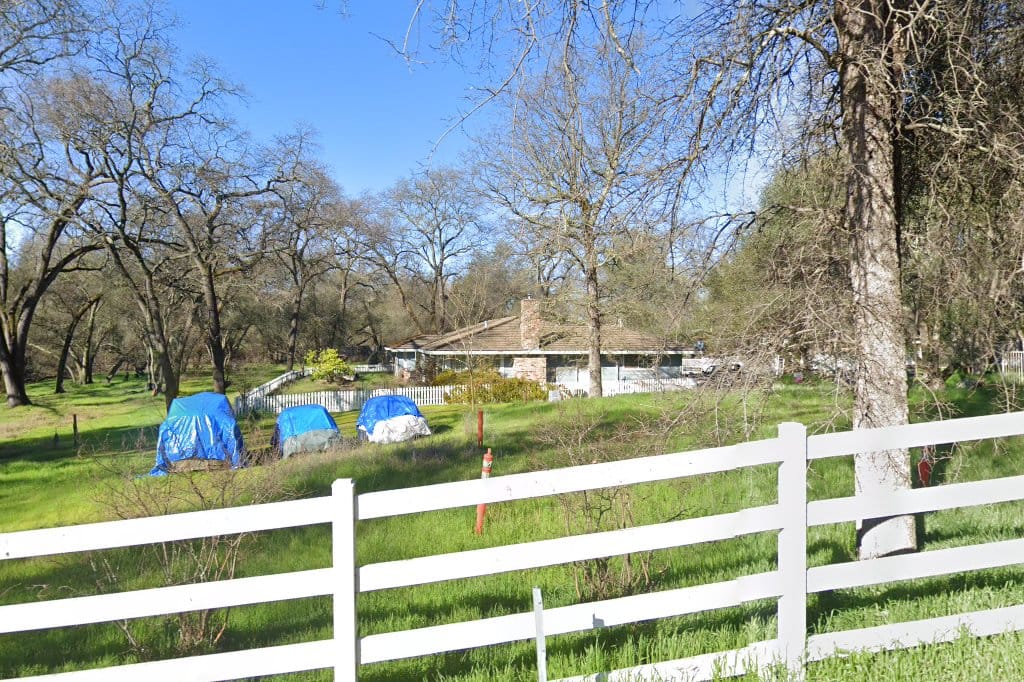 Animal Shelter in Placer County, CA The County Office