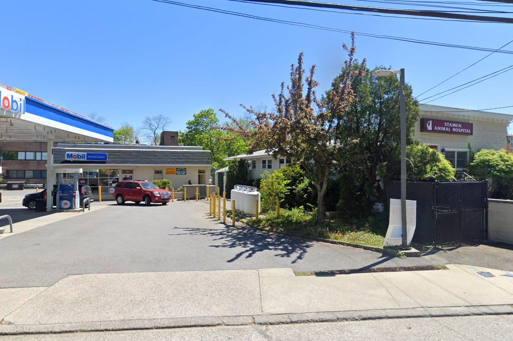 Animal Hospital in New Rochelle, NY The County Office