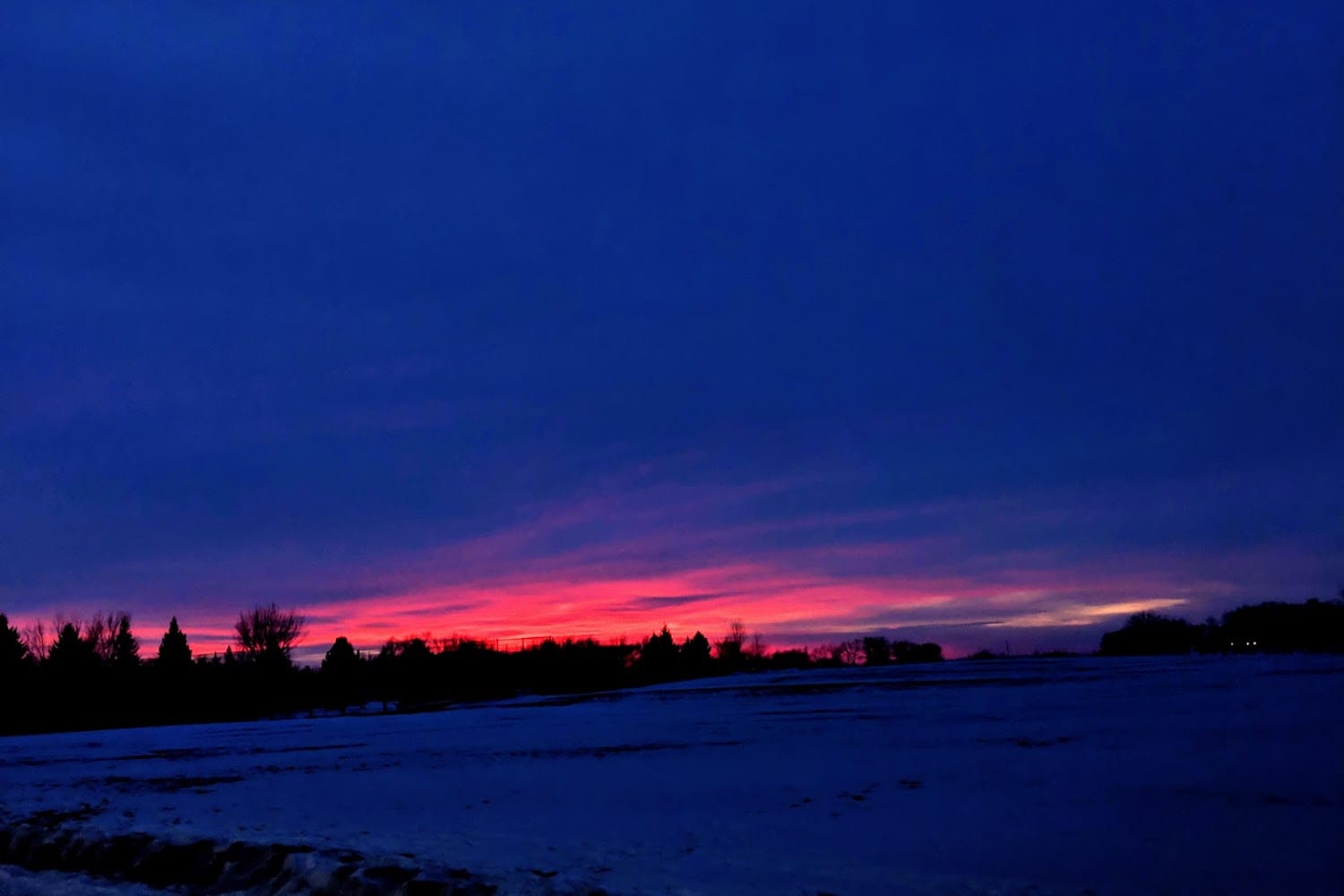 Blue Earth Nicollet County Humane Society in Mankato, MN Find Paw Pal