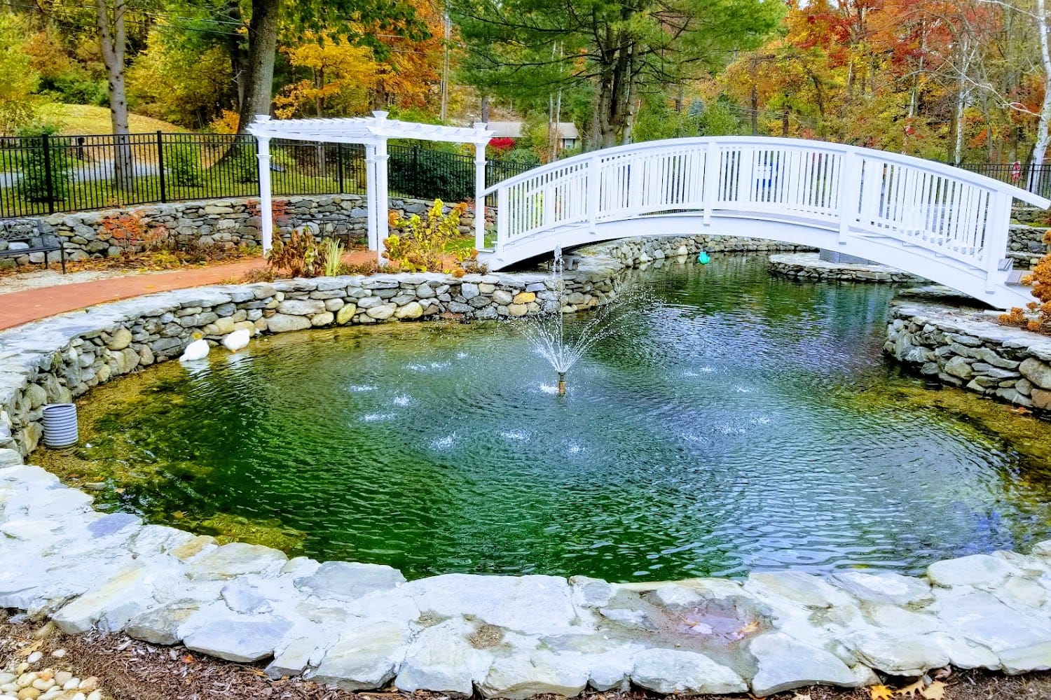 Sterling Animal Shelter in Sterling, MA Find Paw Pal