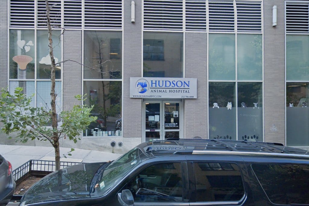 Columbus Circle Veterinary Hospital in New York, NY The County Office