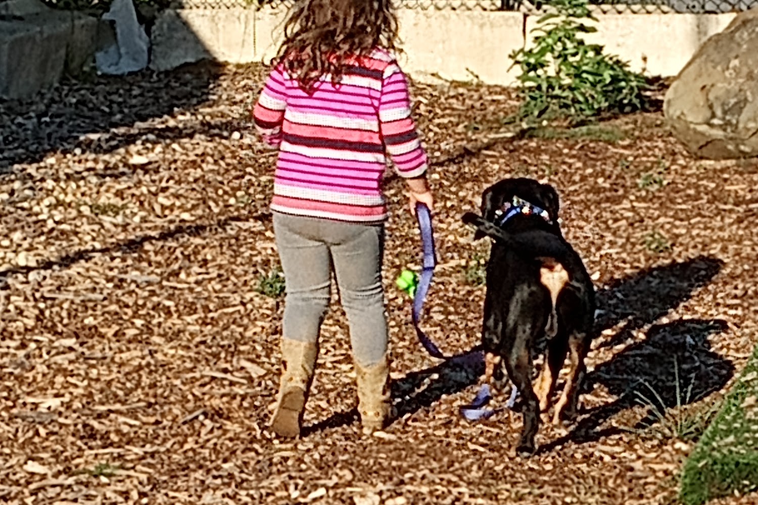 Humane Society of Winnebago County in Rockford, IL The County Office