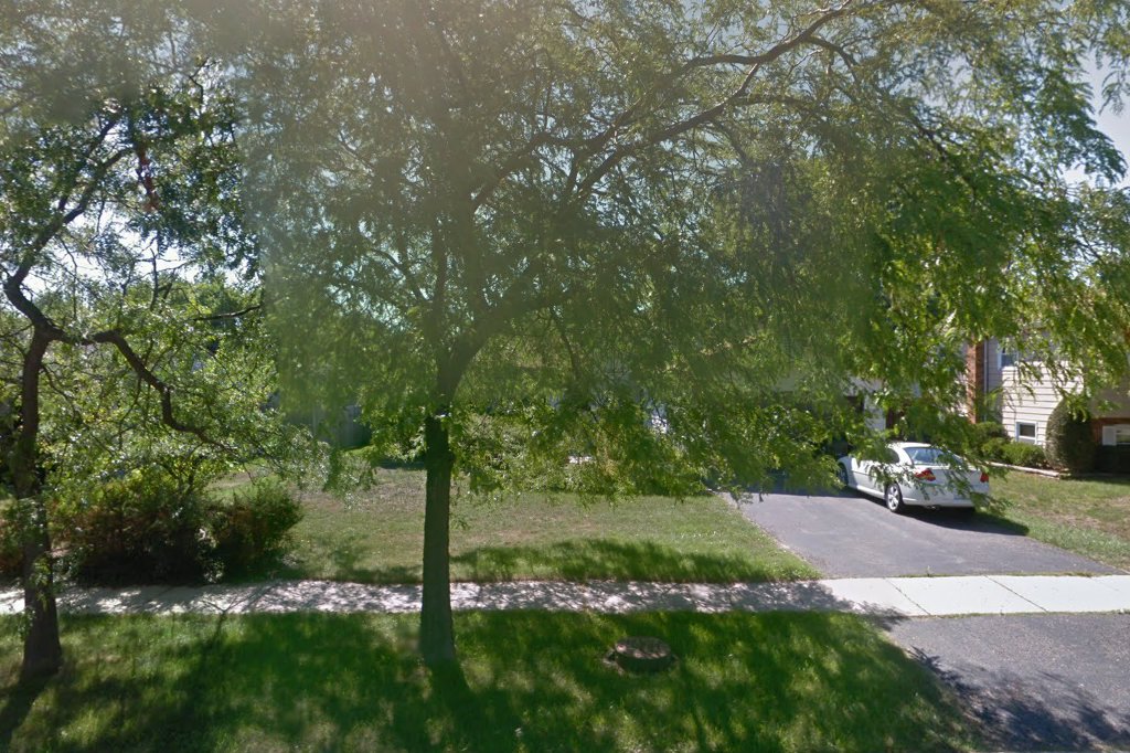 Animal Shelter in Lake County, IL The County Office