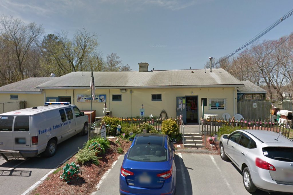 Animal Shelter in Taunton, MA The County Office