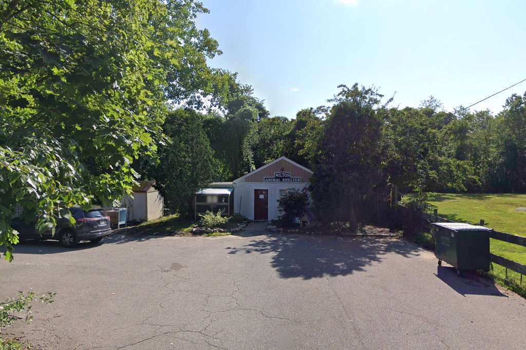 The Greyhound Project in Milton, MA Find Paw Pal