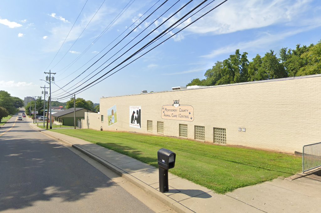 Animal Shelter in Clarksville, TN The County Office