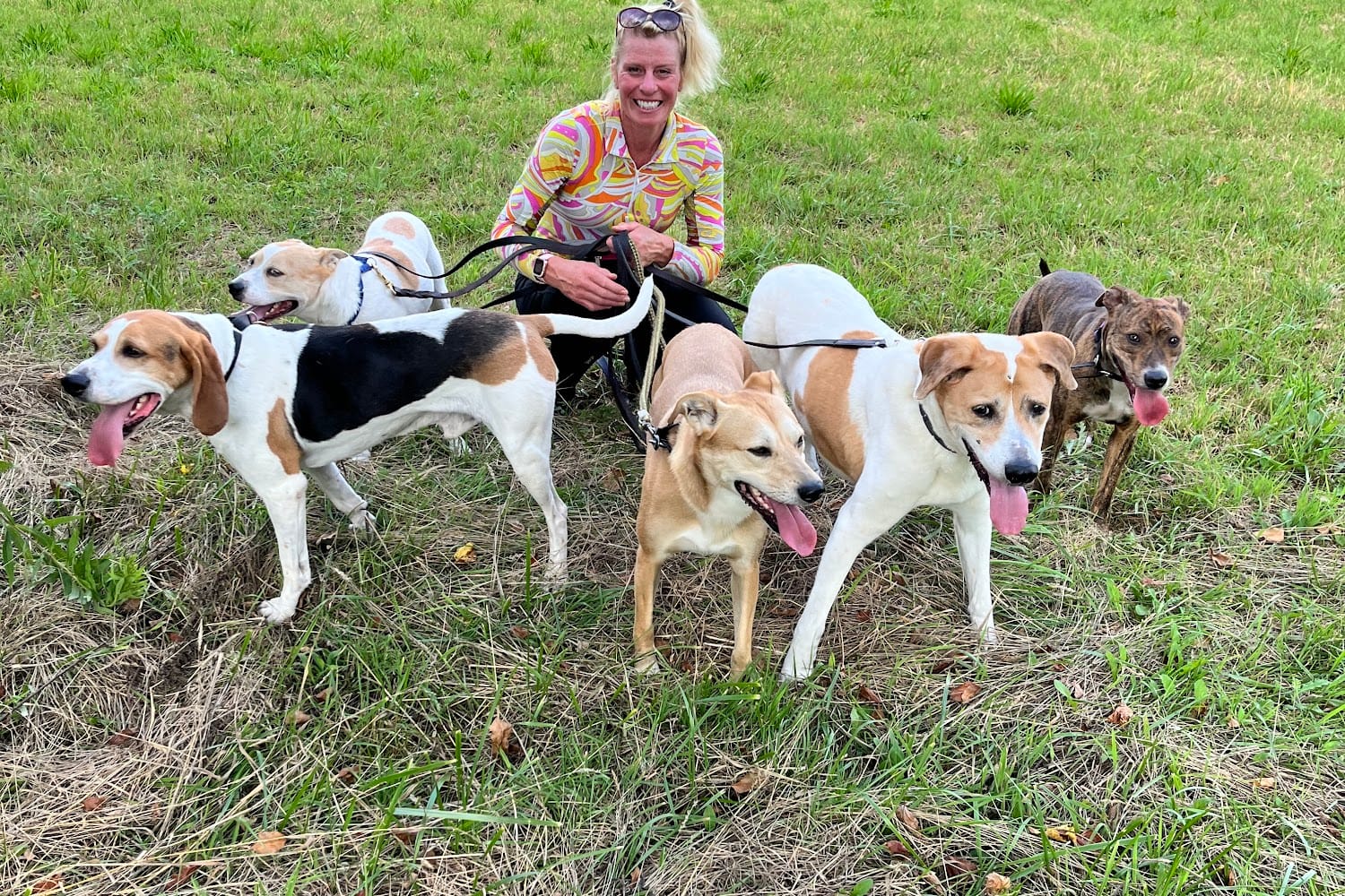 Animal Shelter in Medina, OH Pets TheCountyOffice