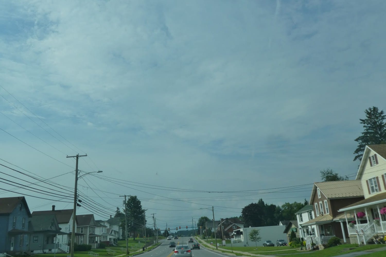 Animal Friends of Elk and Cameron Counties in St. Marys, PA The