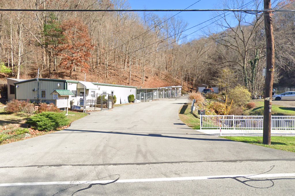 Animal Shelter in Allegheny County, PA The County Office