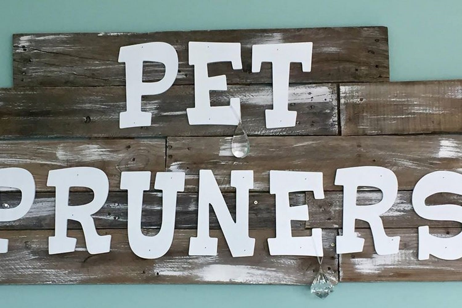 DMV in Pierce County, WA The County Office