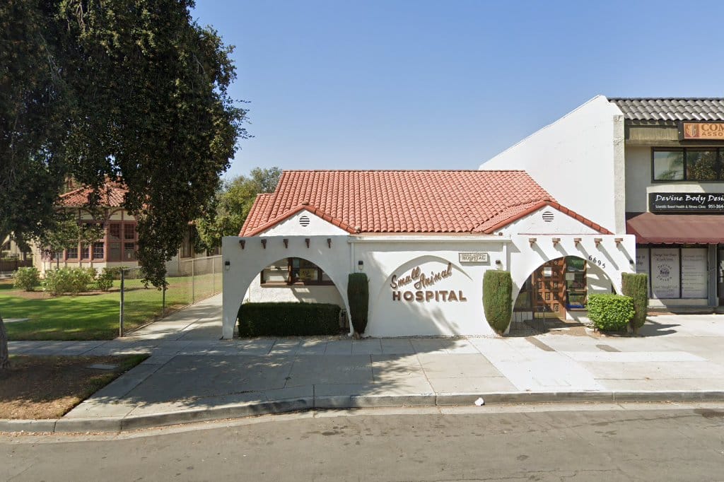 Animal Hospitals in Riverside, CA Pets TheCountyOffice
