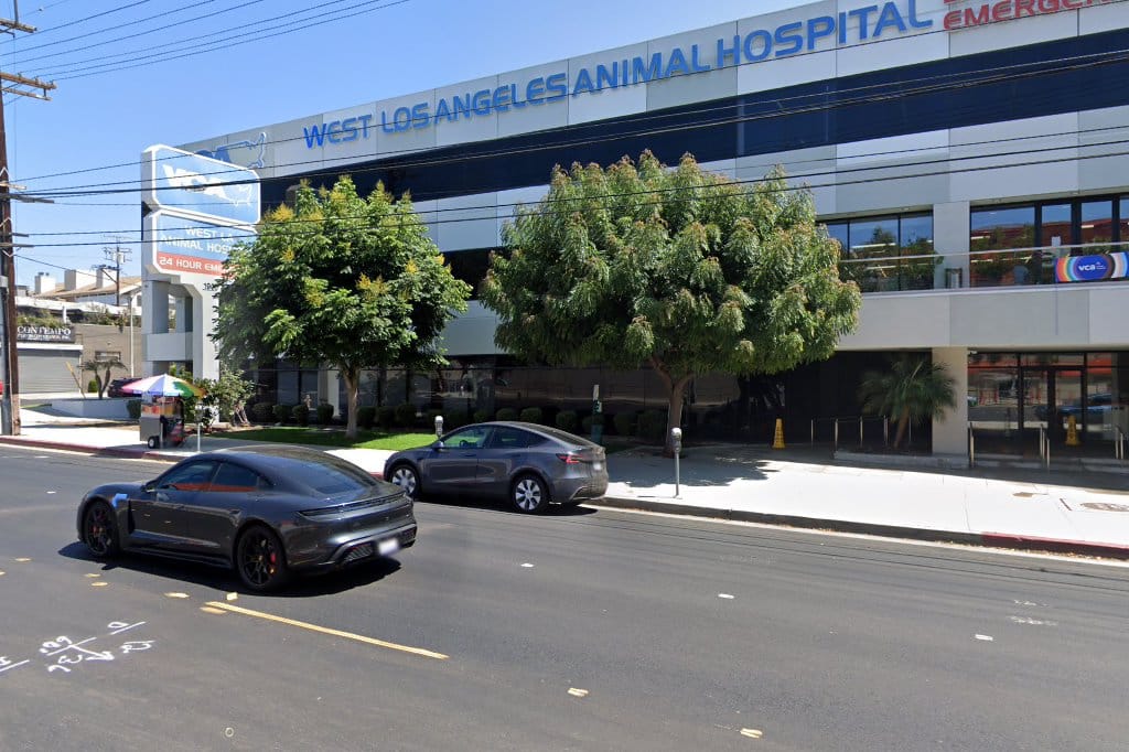 VCA West L A Animal Hospital in Los Angeles, CA The County Office