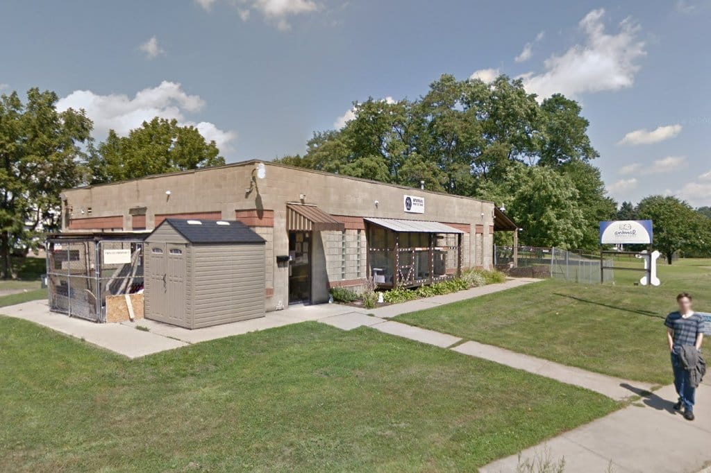 Animal Shelter in Westmoreland County, PA The County Office
