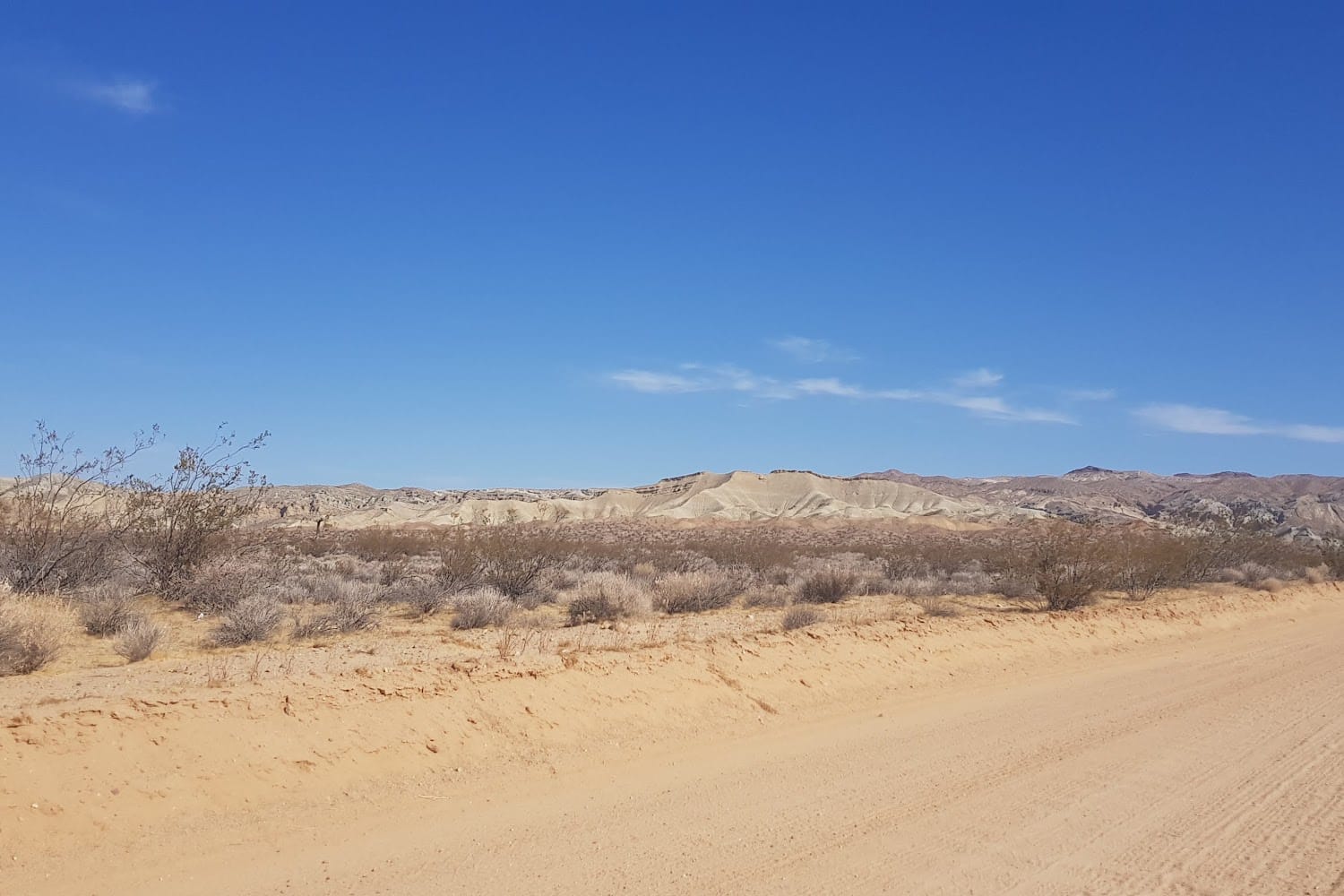 Dog Shelters in Barstow, CA Find Paw Pal