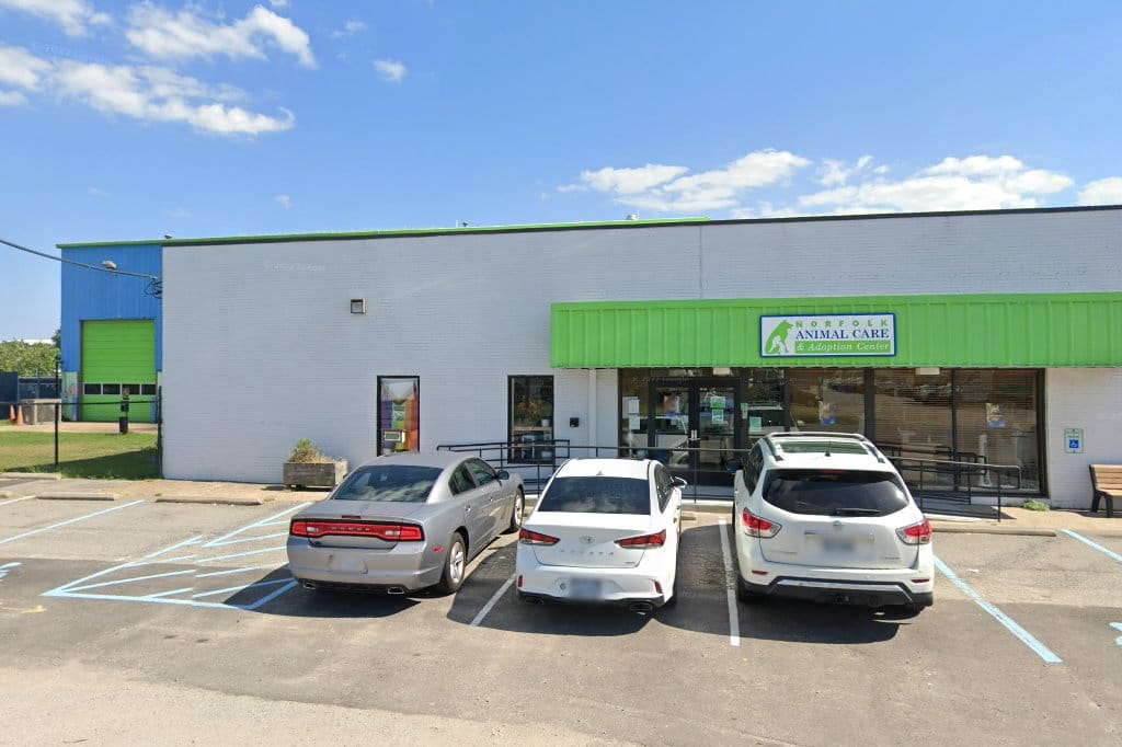 Rainbow Animal Rescue, Inc. in Norfolk, VA Find Paw Pal