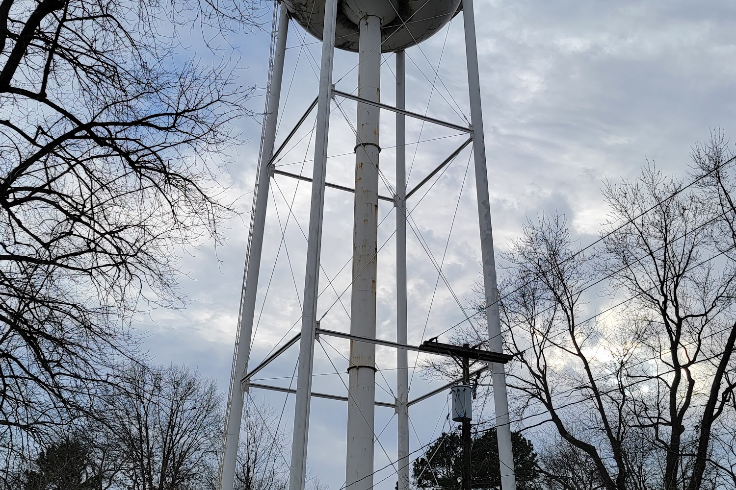 Dog Shelters in Anna, IL Find Paw Pal