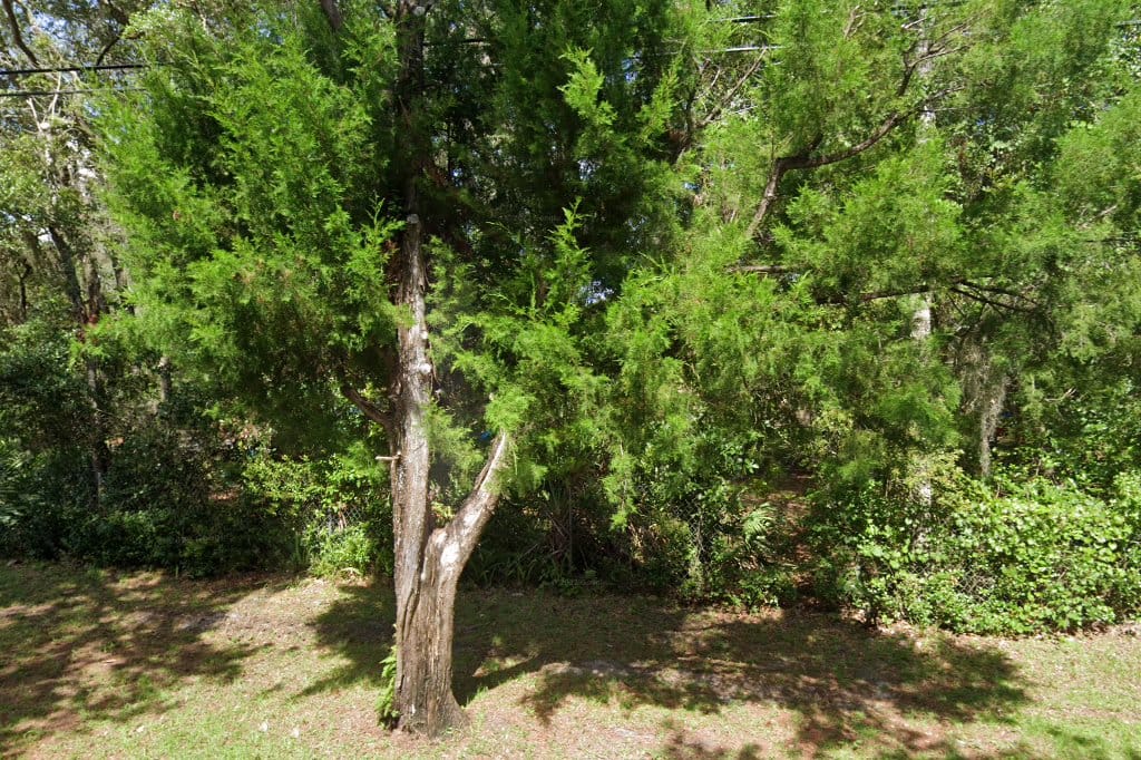 Eustis Housing Authority in Eustis, FL The County Office