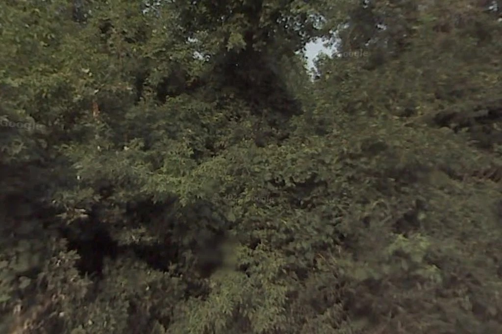 Housing Authority in Cook County, IL The County Office