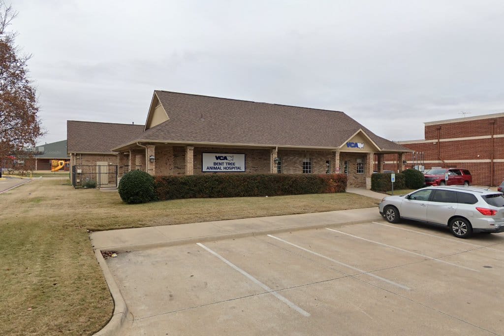 Animal Hospital in Dallas, TX The County Office