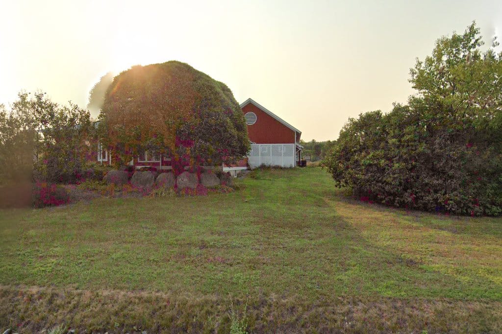 Animal Shelter in Lamoille County, VT The County Office